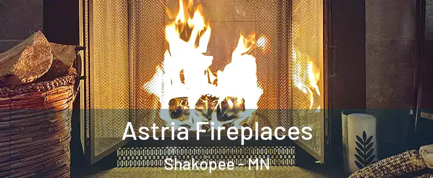  Astria Fireplaces Shakopee - MN