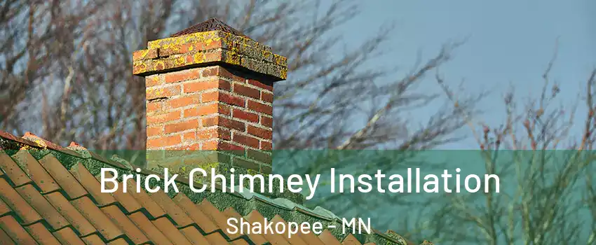  Brick Chimney Installation Shakopee - MN