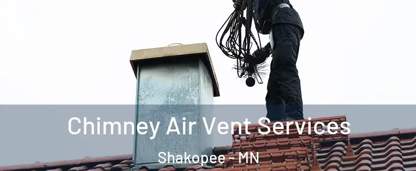  Chimney Air Vent Services Shakopee - MN