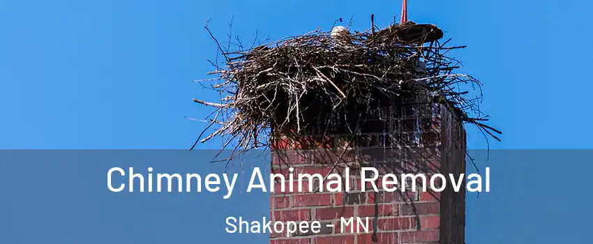 Chimney Animal Removal Shakopee - MN