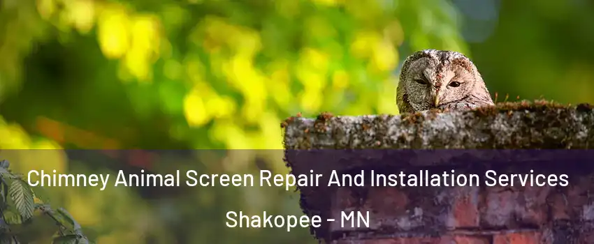 Chimney Animal Screen Repair And Installation Services Shakopee - MN
