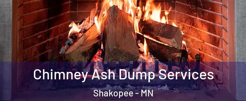  Chimney Ash Dump Services Shakopee - MN