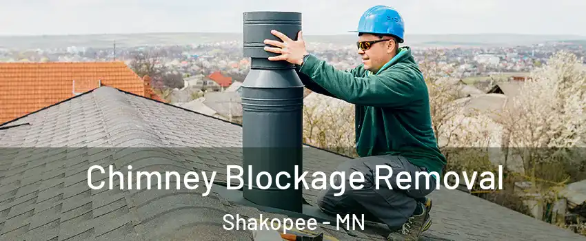  Chimney Blockage Removal Shakopee - MN