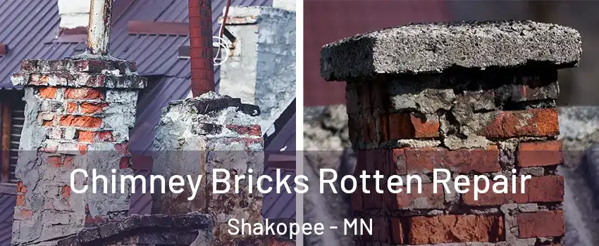  Chimney Bricks Rotten Repair Shakopee - MN