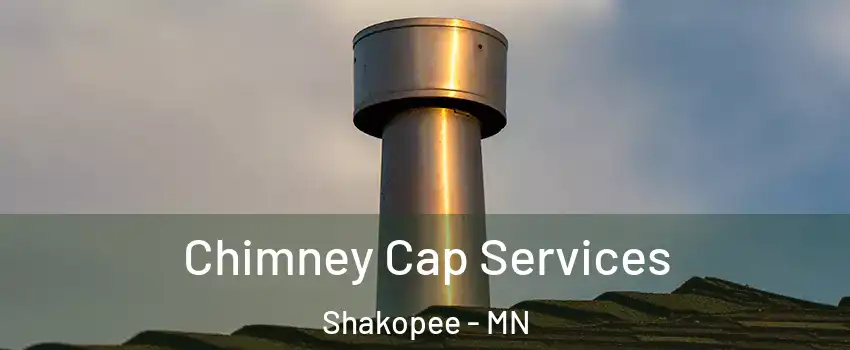  Chimney Cap Services Shakopee - MN