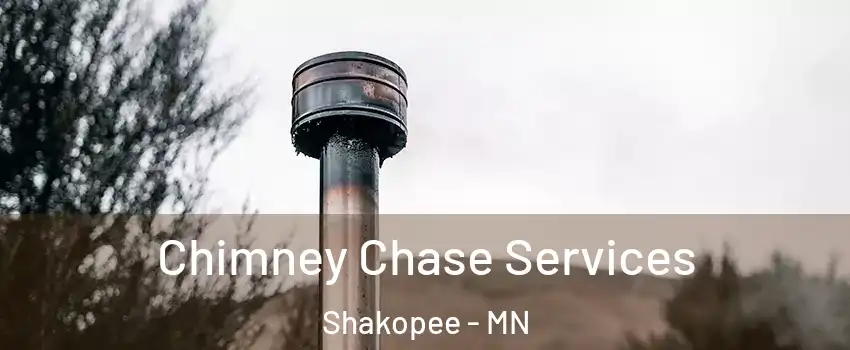 Chimney Chase Services Shakopee - MN