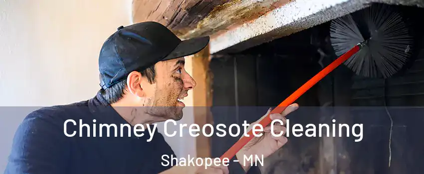  Chimney Creosote Cleaning Shakopee - MN