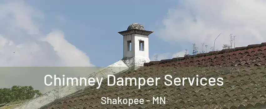 Chimney Damper Services Shakopee - MN