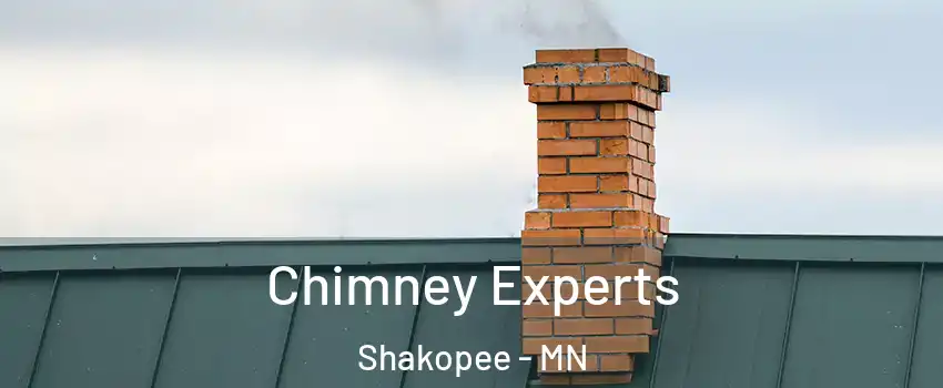 Chimney Experts Shakopee - MN