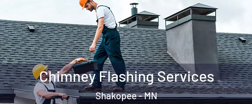 Chimney Flashing Services Shakopee - MN