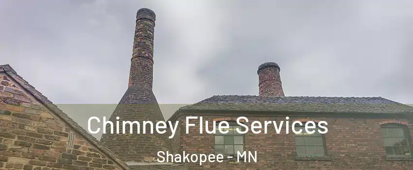  Chimney Flue Services Shakopee - MN