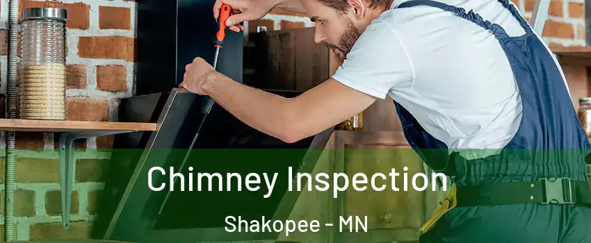  Chimney Inspection Shakopee - MN