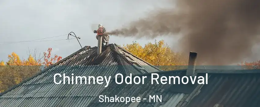  Chimney Odor Removal Shakopee - MN
