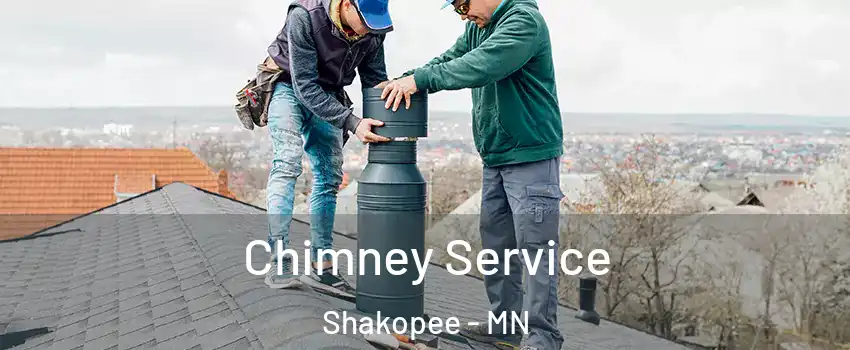  Chimney Service Shakopee - MN