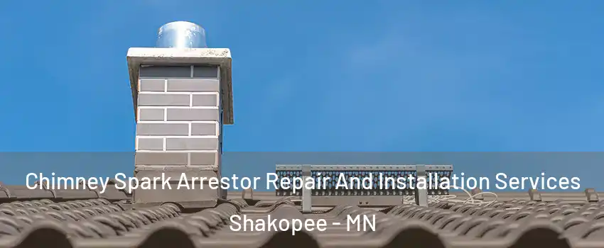  Chimney Spark Arrestor Repair And Installation Services Shakopee - MN
