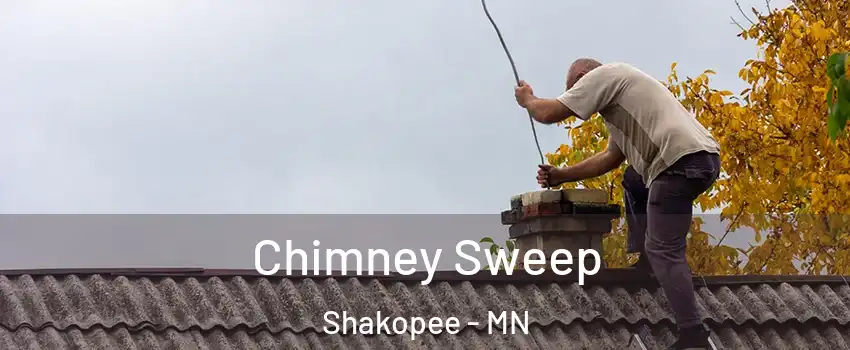  Chimney Sweep Shakopee - MN