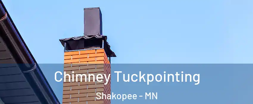  Chimney Tuckpointing Shakopee - MN