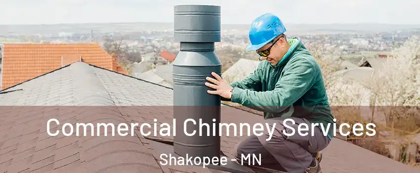  Commercial Chimney Services Shakopee - MN