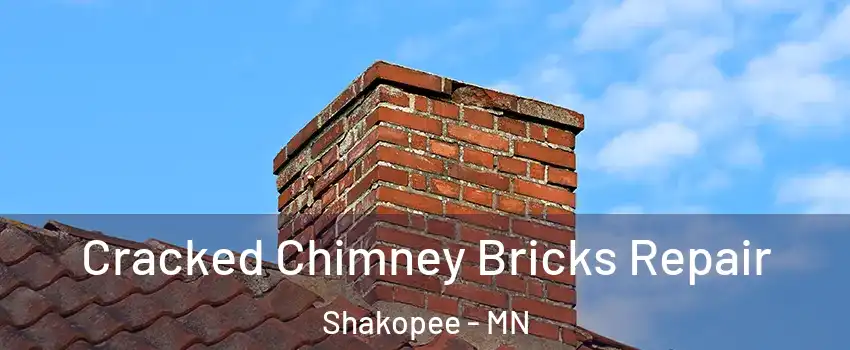  Cracked Chimney Bricks Repair Shakopee - MN