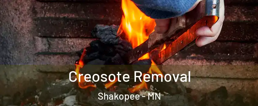  Creosote Removal Shakopee - MN