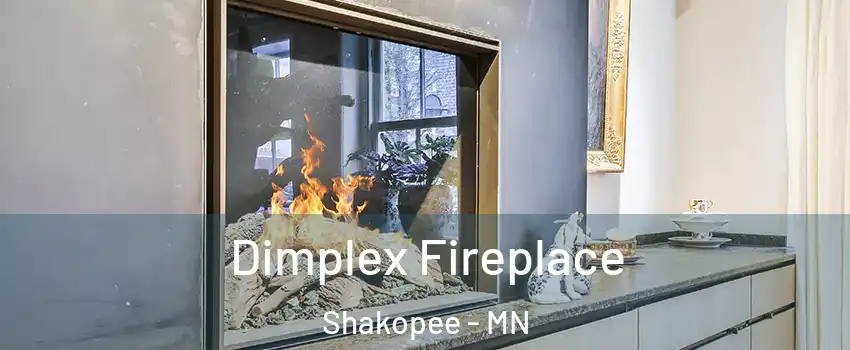  Dimplex Fireplace Shakopee - MN