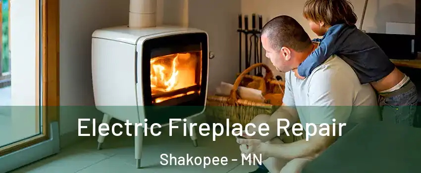  Electric Fireplace Repair Shakopee - MN