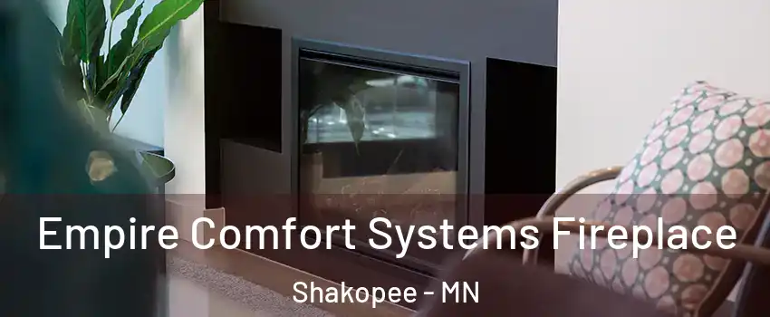  Empire Comfort Systems Fireplace Shakopee - MN