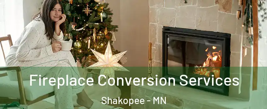  Fireplace Conversion Services Shakopee - MN
