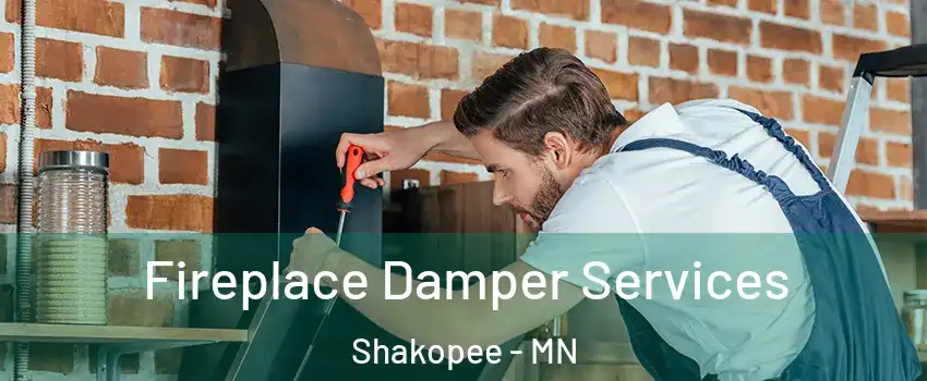  Fireplace Damper Services Shakopee - MN