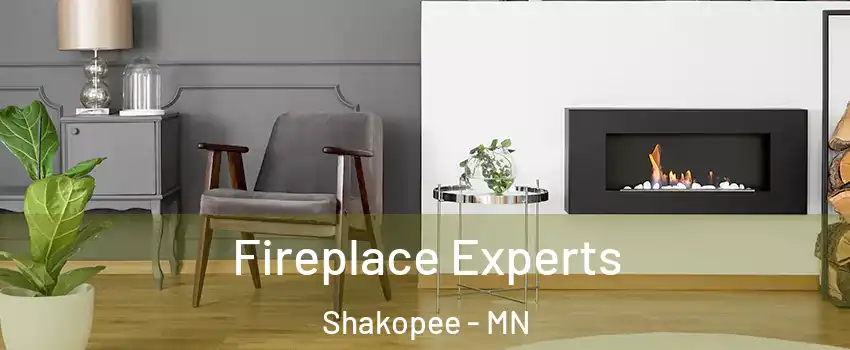  Fireplace Experts Shakopee - MN