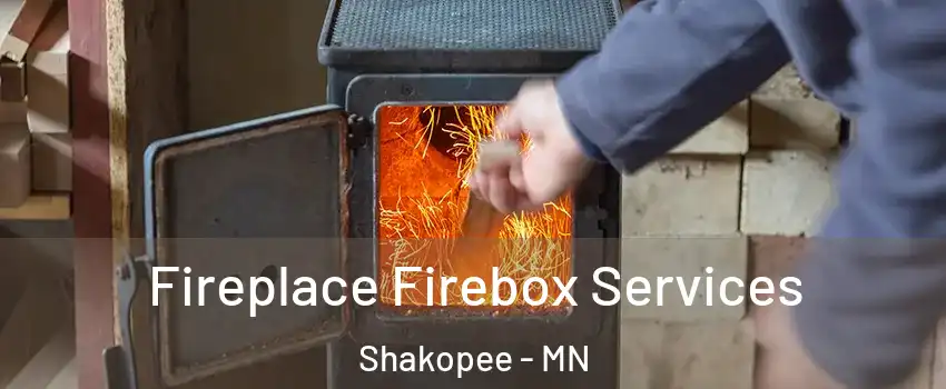  Fireplace Firebox Services Shakopee - MN