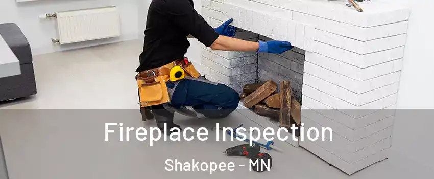  Fireplace Inspection Shakopee - MN