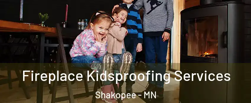  Fireplace Kidsproofing Services Shakopee - MN
