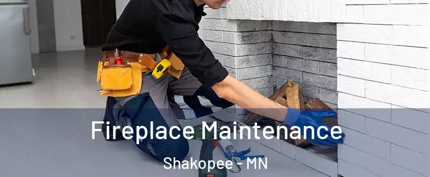  Fireplace Maintenance Shakopee - MN