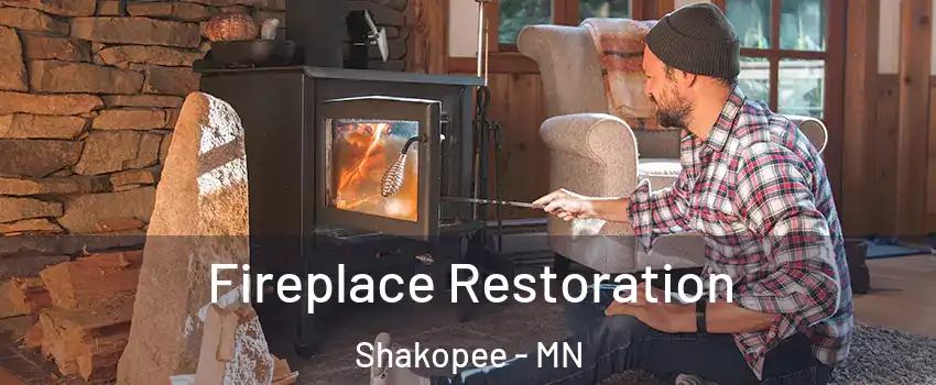  Fireplace Restoration Shakopee - MN