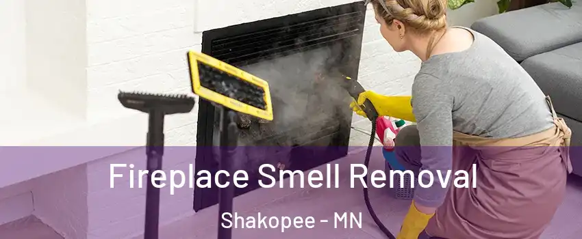  Fireplace Smell Removal Shakopee - MN