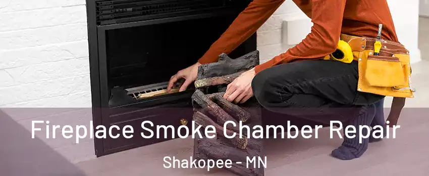  Fireplace Smoke Chamber Repair Shakopee - MN