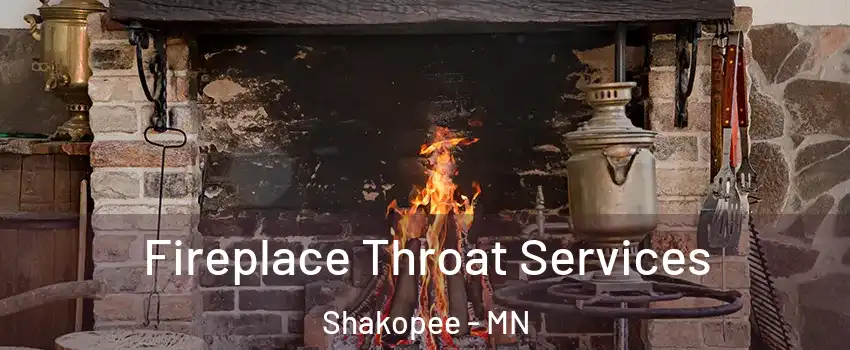  Fireplace Throat Services Shakopee - MN