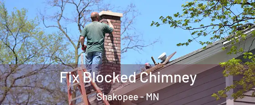  Fix Blocked Chimney Shakopee - MN