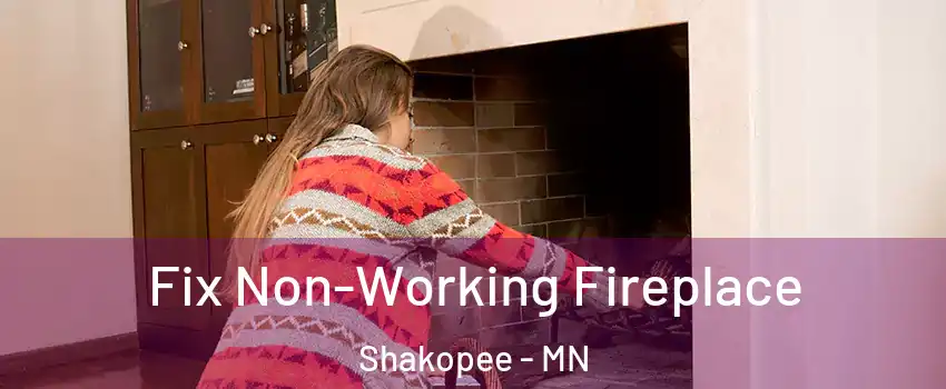  Fix Non-Working Fireplace Shakopee - MN