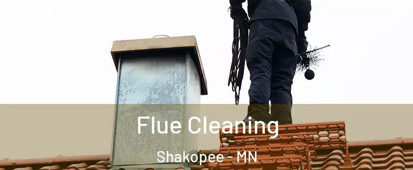  Flue Cleaning Shakopee - MN