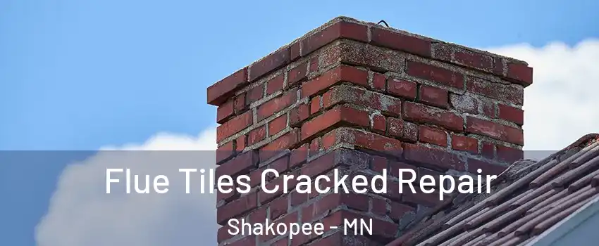  Flue Tiles Cracked Repair Shakopee - MN