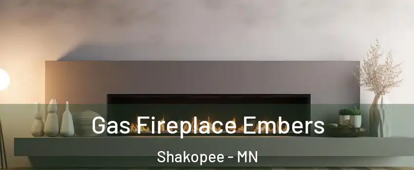  Gas Fireplace Embers Shakopee - MN
