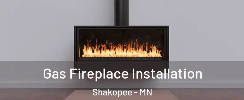  Gas Fireplace Installation Shakopee - MN