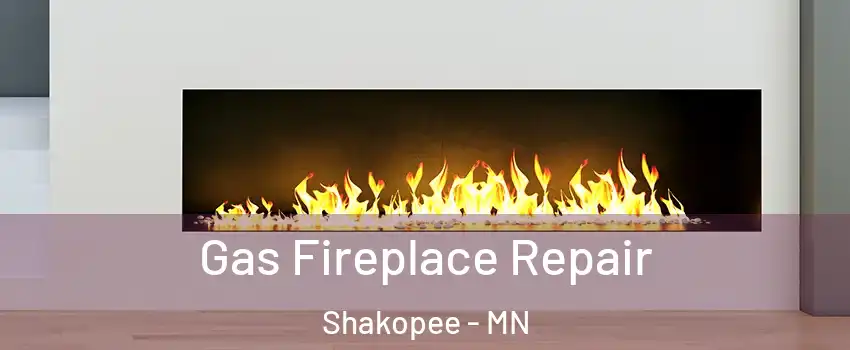  Gas Fireplace Repair Shakopee - MN