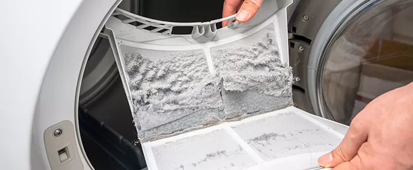 Best Dryer Lint Removal Company in Shakopee, Minnesota