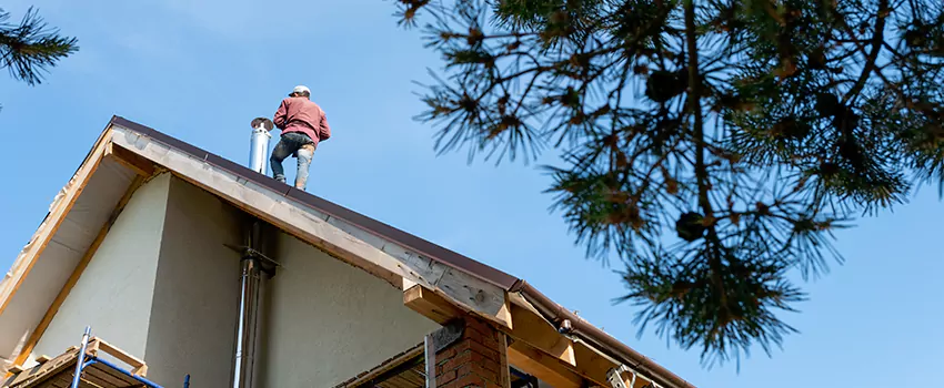 Birds Removal Contractors from Chimney in Shakopee, MN