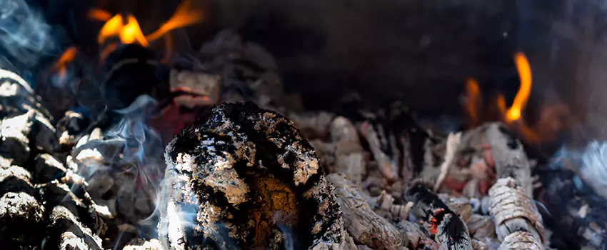 Creosote Removal Experts in Shakopee, MN