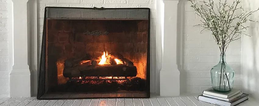 Cost-Effective Fireplace Mantel Inspection And Maintenance in Shakopee, MN