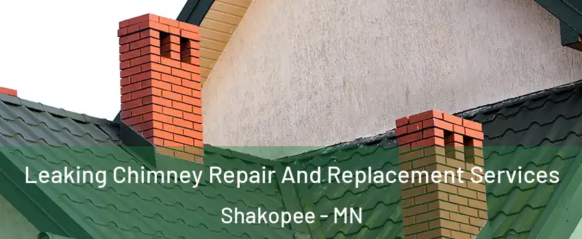  Leaking Chimney Repair And Replacement Services Shakopee - MN
